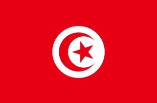 Где находится тунис и какое море в тунисе Тунис бывшая колония